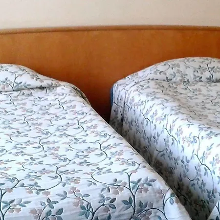 Hotel Green Hotel 3*