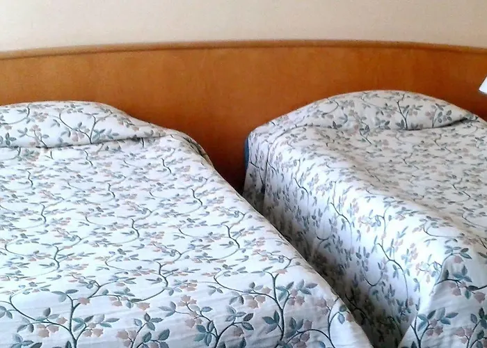 Hotel Green Hotel 3*